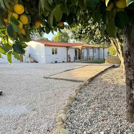 2 Ensuite Bedrooms And Saltwater Pool Pedrogao Grande